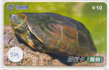 Telecarte Tortoise (539) Sea Turtle ? Schildpad ? Schildkroete ? Tartaruga ? Tortue ? Turtle China - Schildpadden