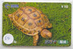 Telecarte Tortoise (541) Sea Turtle ? Schildpad ? Schildkroete ? Tartaruga ? Tortue ? Turtle China - Turtles