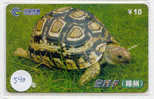 Telecarte Tortoise (540) Sea Turtle ? Schildpad ? Schildkroete ? Tartaruga ? Tortue ? Turtle China - Schildpadden