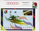 Rowing,Yellow River,China 1999 The 4th National City Games Advertising Postal Stationery Card - Rowing