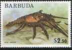 BARBUDA - 1975 - ARAGOSTA - YT 206 ** - Crostacei