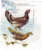 MOLDOVA 2007 ,OISEAUX  /birds  BLOCK ,MNH,OG. - Gallináceos & Faisanes
