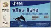 Marine Dolphin,China 2003 CNC Communication Company Advertising Postal Stationery Card - Dauphins