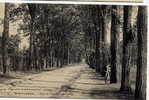 CPA 91.-MONTGERON.-Allée De L'Avenue Du Château- 1 Enfant Pose Près D'un Arbre - Montgeron