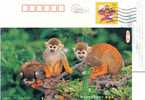 China, Postal Stationery, Monkeys - Singes