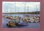 19765 Camaret Sur Mer Le Port N° 16bis Edit. Artaud Belle Cpsm - Camaret-sur-Mer