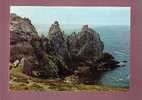 19767 Camaret Sur Mer Rochers De La Salle Verte N° 40 Edit. Artaud Belle Cpsm - Camaret-sur-Mer