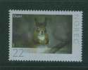 NOR0012 Ecureuil 1546 Norvege 2007 Neuf ** - Unused Stamps