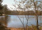 LANDES - TOURISME - PAYSAGE - Editions Elcé - Lac Et Grand Bois - Carte Postale De L´amitié - Aquitaine