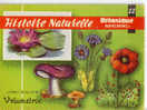 Livret éducatif Volumétrix 26 Pages 48 Images Histoire Naturelle Botanique Enfant - 6-12 Jahre