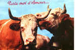 CARTE POSTALE DE 2 VACHES - PARLE MOI D AMOUR - Tauri