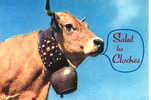 CARTE POSTALE D UNE VACHE - SALUT LES CLOCHES - Bull