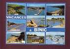 19989 Binic Multivue N° 70/3071 Edit.artaud Belle Cpsm - Binic