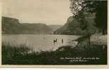 NANTUA - CPSM Un Coin Du Lac - Nantua