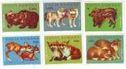 Romania 1972  Animals LYNX,bear,dog,etc,set,MNH ,OG. - Usati