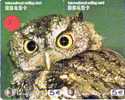 Owl HIBOU Chouette Uil Eule Buho (2) Puzzle 2 Telecartes - Águilas & Aves De Presa