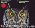 Owl HIBOU Chouette Uil Eule Buho (3) Puzzle 2 Telecartes - Águilas & Aves De Presa