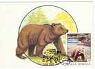 Romania 1993 MAXIMUM CARD With BEAR,very Nice. - Ours