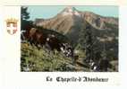 La Chapelle D' Abondance: Paturage Et Le Mont De Grange, Vache (07-2387) - La Chapelle-d'Abondance