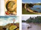 4 Carte Sur La Peche   -  4 Fishing Postcards - Pesca