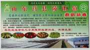 Watermelon,tomato,vegetab   Le,China  2006 Lingyang Town Green Vegetable Industry Advertising Pre-stamped Card - Legumbres