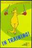 The Boxing Kangaroo - Gymnastics - Olympic Games - Gymnastik