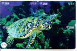4 Telecartes En PUZZLE Turtle – Tortoise – Tortuga Marina – Schildkroete – Tartaruga – Tortue – Schildpad (474) - Schildpadden
