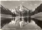 GRAPPELENSEE MIT SCHAFBERG - Berg