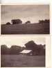 Australia Countryside - House ? / Australie Carte Ancienne - Maison Et Campagne - Other & Unclassified