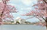 JEFFERSON MEMORIAL - Washington DC