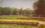 C2464  .    PUBLIC GARDENS . BOSTON . MASSACHUSETTS - Boston