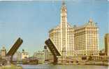 C.K.104. WRIGLEY BUILDING . CHICAGO . ILL. - Chicago