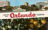 GREETINGS FROM ORLANDO FLORIDA - Orlando