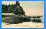 Lac De Morat .Affranchie En 1904 - Murten