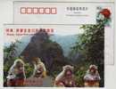 National Monkey Natural Reserve,China 2001 Jiyuan Wulongkou Scenic Region Advertising Postal Stationery Card - Scimmie