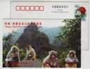 National Monkey Natural Reserve,China 2001 Jiyuan Wulongkou Scenic Region Advertising Postal Stationery Card - Singes