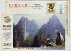 Monkey Beer Drinking,China 2002 Wulongkou Scenic Area Adminstration Pre-stamped Card Monkey Macaque - Scimmie