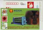 PRIMATES Cercopithecidae Animal West Africa Mandrill,CN04 Xinya Light-duty Machine Advertising Postal Stationery Card - Affen