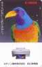 Télécarte JAPON - ANIMAL - OISEAU AIGLE - Pub Photo CANON  - EAGLE BIRD JAPAN Phonecard - 04 - Águilas & Aves De Presa