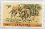 Tanzania , 1980: , Animal - Giraffe