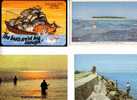 4 Fishing Postcard / 4 Carte Sur La Peche - Visvangst