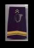 EPAULETTE PREMIERE CLASSE CHASSEUR - Patches