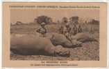 CITROEN  HIPPOPOTAMES CHASSE X - Central African Republic