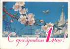 EXUSSR, Postal Stationery, Insect Bee Flower - Api