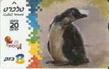 TARJETA DE ISRAEL DE UN PINGUINO - Pingueinos