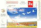 China, Postal Stationery, Airplane, Bird, Flower - Mongolfiere