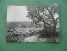 CARTE POSTALE DE FRANCE  04 BASSES ALPES /ALPES DE HAUTE PROVENCE MANOSQUE LES BAINS - Manosque