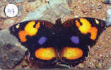 PAPILLON Butterfly SCHMETTERLING VlinderTelecarte Oman (217) - Mariposas
