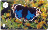 Telefonkarte PAPILLON Butterfly SCHMETTERLING Vlinder Telecarte Oman (219) - Vlinders