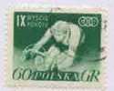 Poland , 1956: Peace Cycling Course - Ciclismo